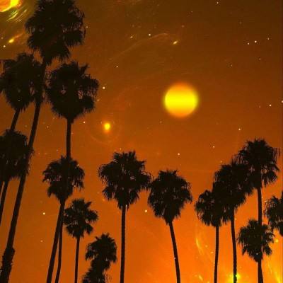 乐彩彩票welcome下载手机版